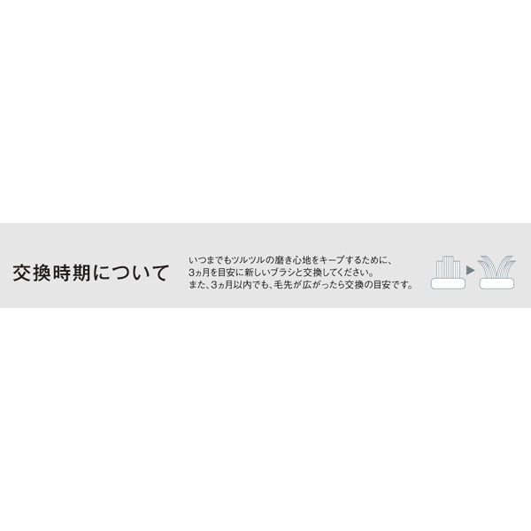 パナソニック 替えブラシ ドルツ専用 こども用ソフトブラシ 2本