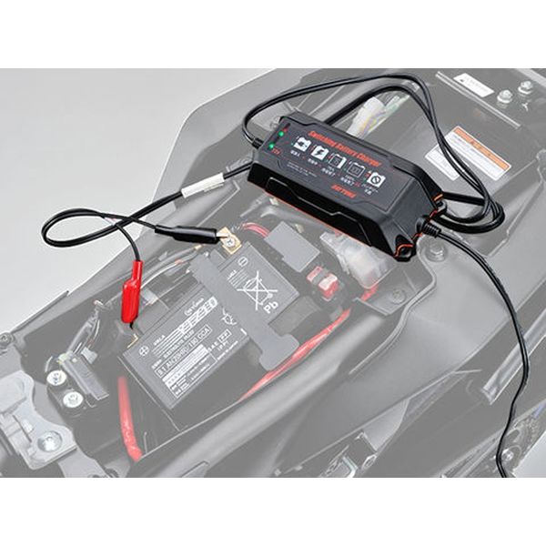 デイトナ スイッチングバッテリーチャージャー 12V 95027（直送品