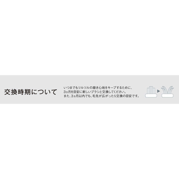 パナソニック 替えブラシ ドルツ専用 イオン用密集極細毛ブラシ 2本入