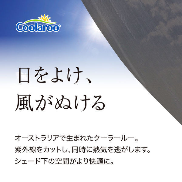 タカショー クールシェード プライム 2000×4000mm チャコールグレー GCS-W40C5 1枚（直送品）