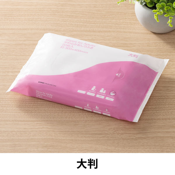 大人用/流せない/大判】アスクルやわらかおしりふき 大人用おしりふき