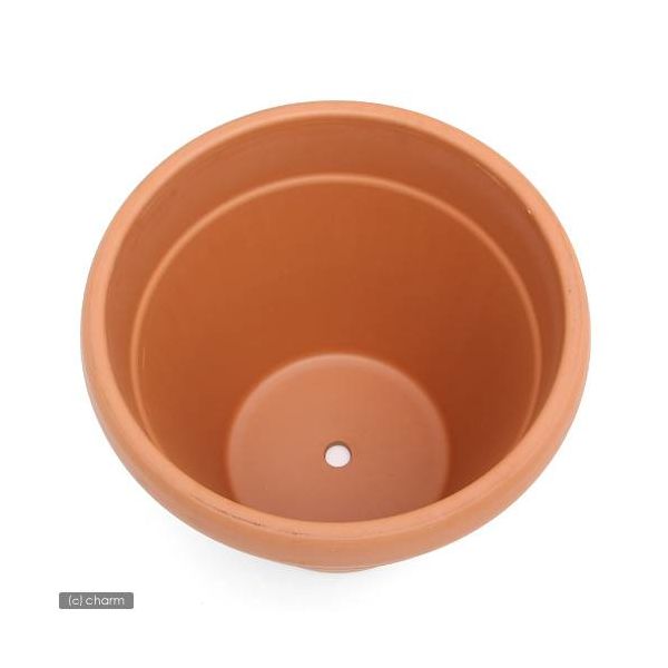 DEROMA デローマ ヘビーリムポット φ47×H41cm テラコッタ製 底穴