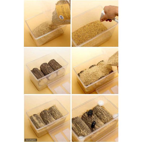 オオクワガタ産卵セット オオクワガタ産卵セット 器具のみ 説明書付き 25047 1セット（直送品