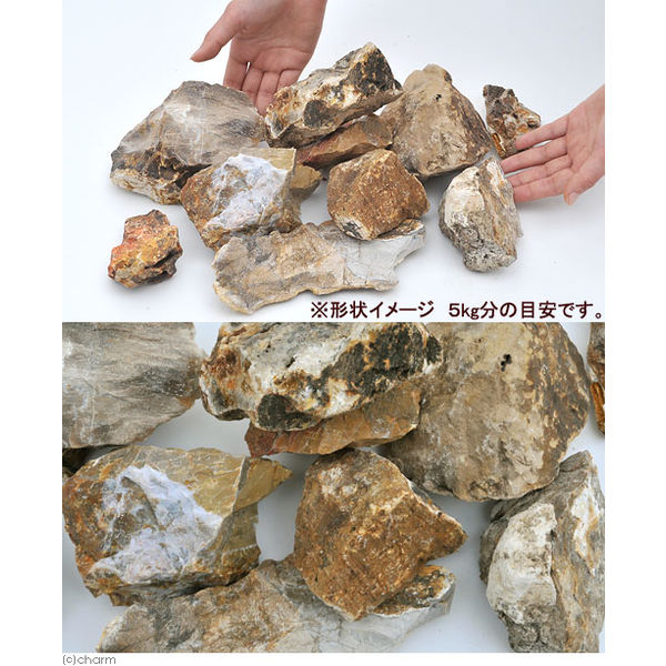 形状お任せ 木化石 サイズミックス 2250001156673 1個（直送品