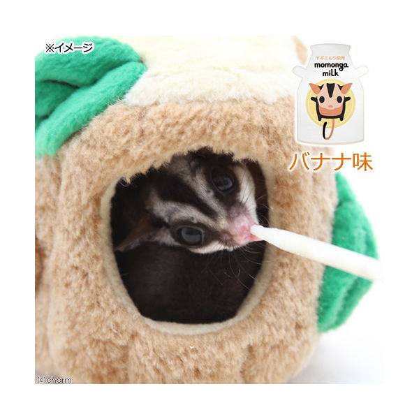 プレミアムミルク　フクロモモンガ用　まとめ売り 楽天市場】【全国送料無料】ジクラ モモンガ専用 ミルクフード02