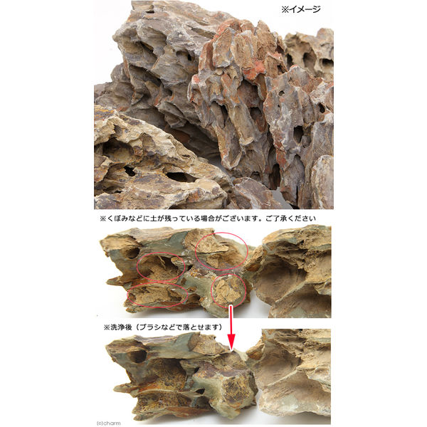 リーフ 形状お任せ 陽火石 5kg 2250002150069 1個（直送品） - アスクル
