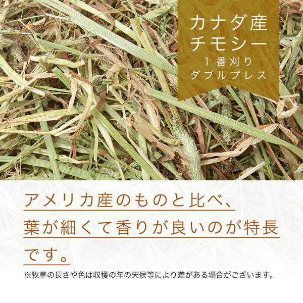 リーフ カナダ産チモシー 1番刈 ダブルプレス 3kg 231180 1個（直送品