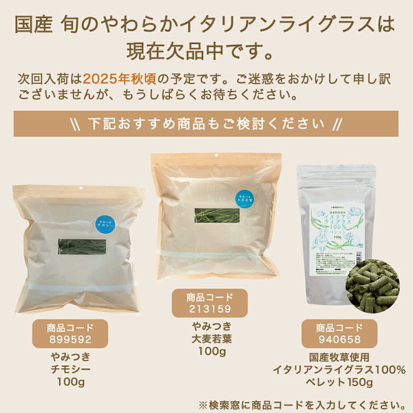 令和7年産国産やみつきイタリアンライグラス 100g 9個まとめ売り 令和7年産 国産 やみつきイタリアンライグラス 100g 牧草 うさぎ