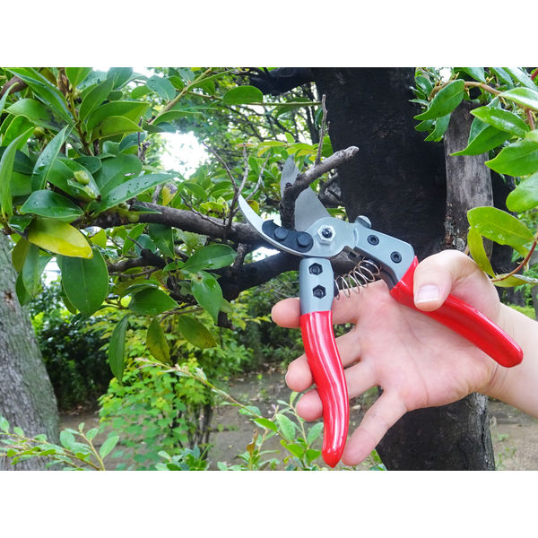 浅香工業 FG強力剪定鋏8インチ 192437 1丁（直送品） - アスクル