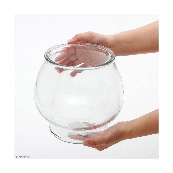 吉田飼料 おしゃれなガラス製金魚鉢 マッシュ アメリカ製