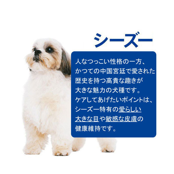 日用品雑貨,ペット(ペットフード・ペット用品他),ドッグフード