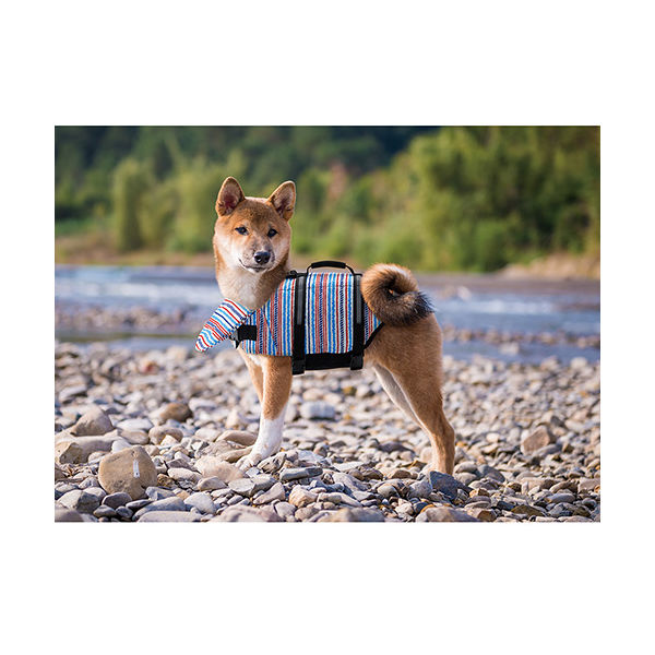 関税送料込み【MARINE SERRE】MS レジェン カモ ジャケット Ld42 Marine Serre Ms Sport Nylon Track Jacket | italist