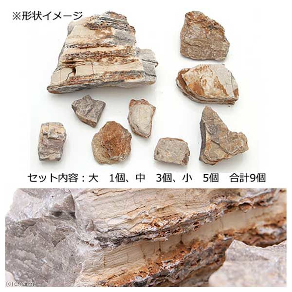 カミハタ 橙層石 レイアウトセット 形状おまかせ 4971664964815