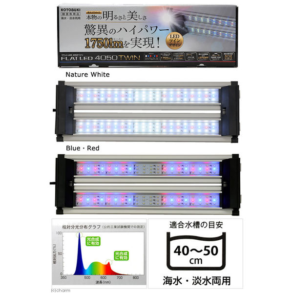 寿工芸 フラットＬＥＤツイン 4972814033474 1個（直送品）