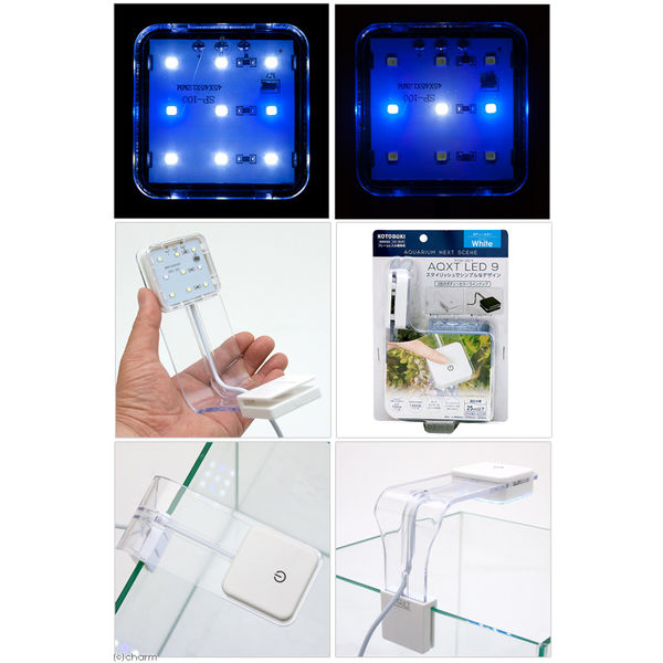 【お得・新品・5個セット】コトブキ工芸 アクストLED 9 ホワイト Amazon | 寿工芸 コトブキ工芸 アクストLED 9 ホワイト