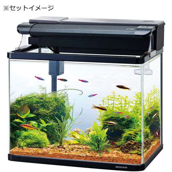 ニッソー スティングレー450H LED熱帯魚セット 4975637205936 1セット