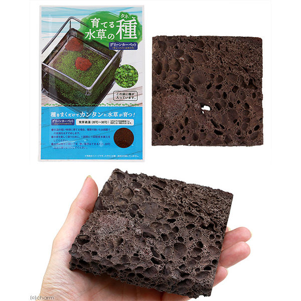 ニッソー 育てる水草の種 育成プレートセットGC 4975637206445 1