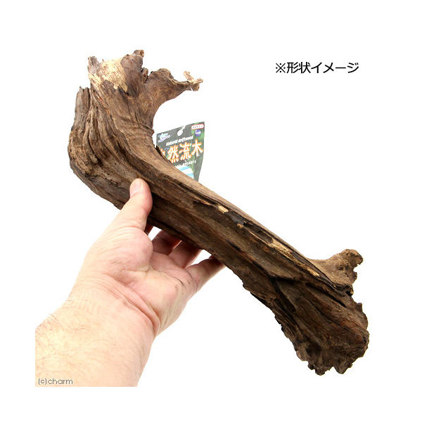 マルカン 形状お任せ　自然流木　特大（約３０～５０ｃｍ） 4975637518883 1個（直送品）