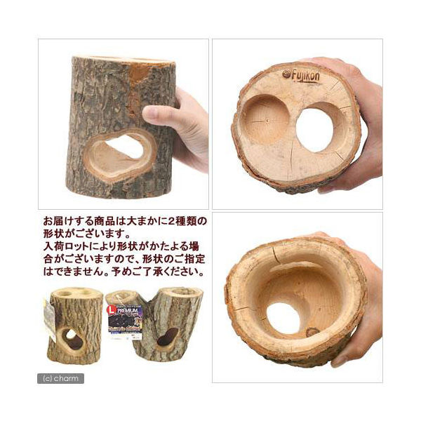 アイシェルター　3点 aiSUru Official Shop