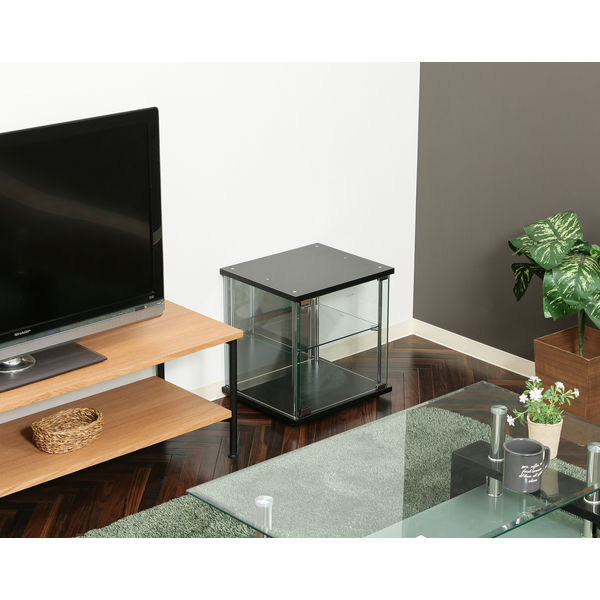 不二貿易 ガラスコレクションボックス 幅425×奥行365×高さ450mm
