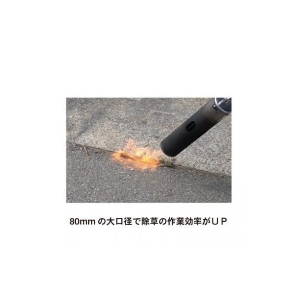シャトルファイヤー SFAー803 452013650 草焼バーナー バナー 草焼き 草焼 焼却 除草 雑草 バーナー 害虫退治 害虫除け（直送品）