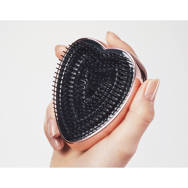 値引き❗美品‼️Breedlove Breedlove　 ハードケース 値引き❗美品‼️Breedlove Breedlove ハードケース