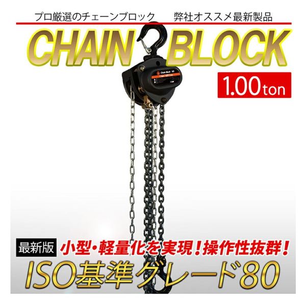 ベスト・アンサー チェーンブロック VD 1トン lh-vd100-2p 1セット(2台入)（直送品） - アスクル