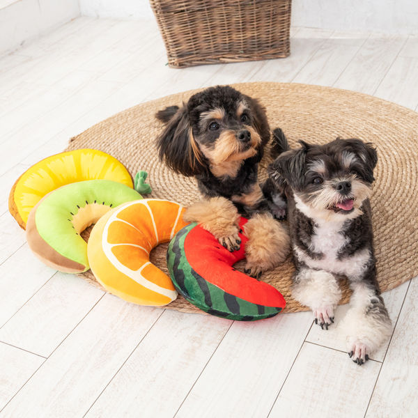 キュウイピロー 1個 犬用 アゴ置き枕 アルクロース - アスクル