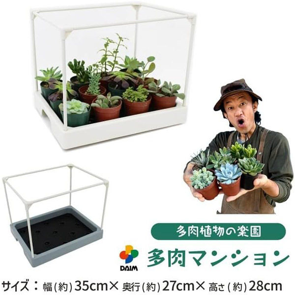 第一ビニール 多肉マンション 観葉/多肉植物用ゲージ 4968438026015 1箱(5個入)（直送品） - アスクル