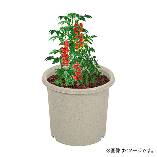 園芸用品】中山福 ベストコ 鉢 ポット 8号 アイボリー ベジタブル