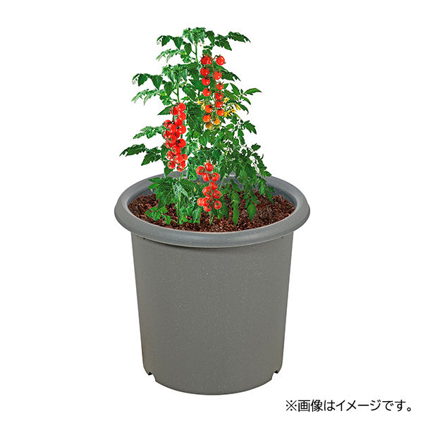 園芸用品】中山福 ベストコ 鉢 ポット 10号 グレー ベジタブル
