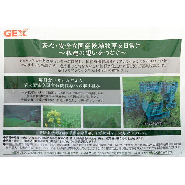 ジェックス 旬牧草 イタリアンライグラス ３００ｇ 247225 1個（直送品