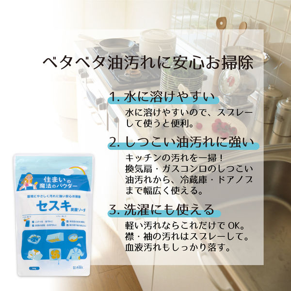 丹羽久 キッチン用セスキ炭酸ソーダ 571046 1個 - アスクル