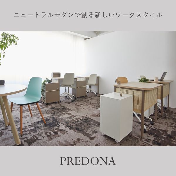 PREDONA(プレドナ) デスク 平机 メッシュ幕板 幅1000×奥行600×高さ 