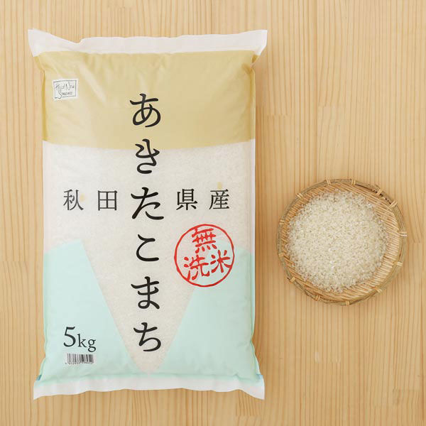 秋田県産 あきたこまち 20kg（5kg×4袋） 無洗米 令和5年産 米 お米