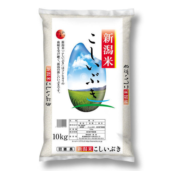 新潟県産 こしいぶき 30kg(10kg×3袋) 【精白米】 令和5年産 お米 白米