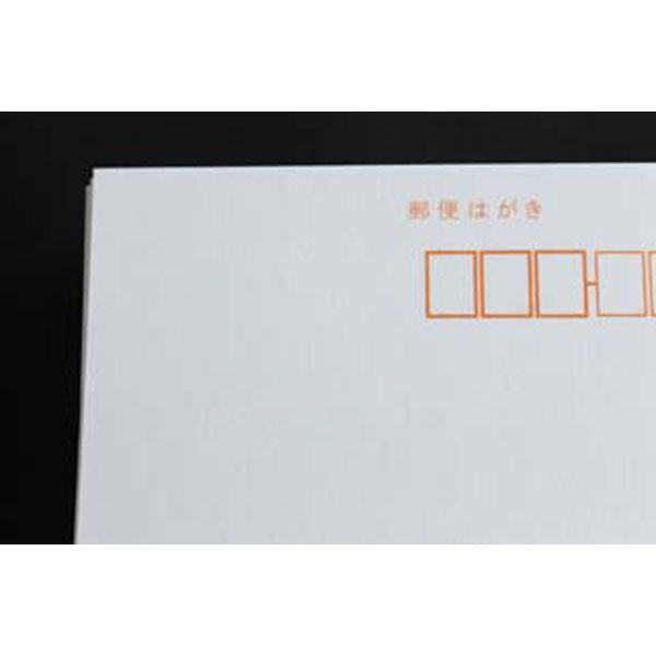 山櫻 私製 はがき No.13 ケント 白 無地 切手枠なし 201013 1箱(100枚 