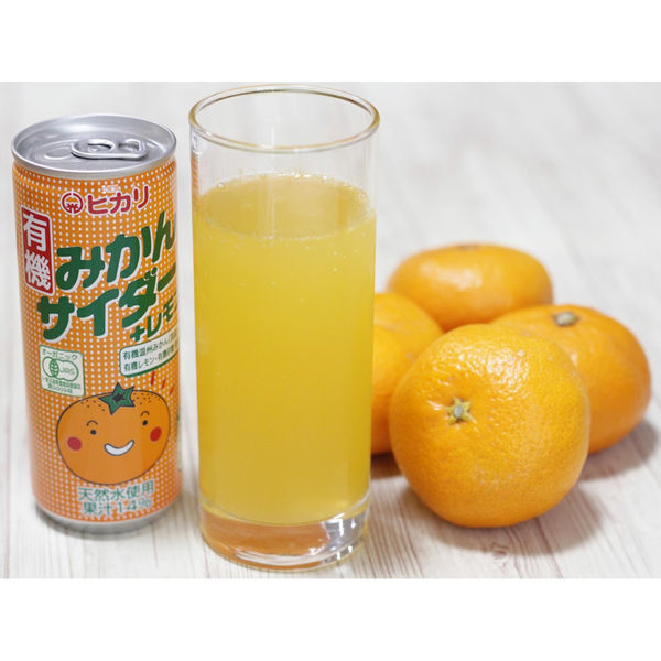 有機レモン果汁使用 レモンサイダー 250ml 2ケース(60本) 送料