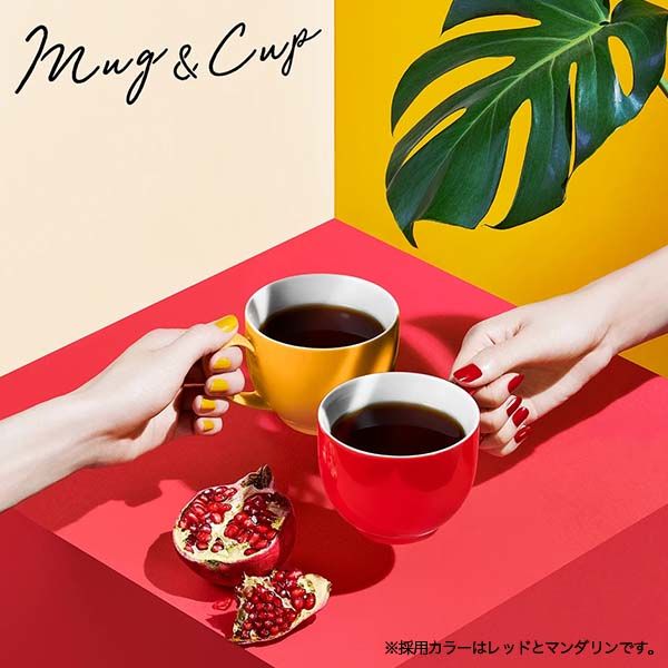 楽天市場】ashford 食器（マグカップ・ティーカップ｜コーヒー