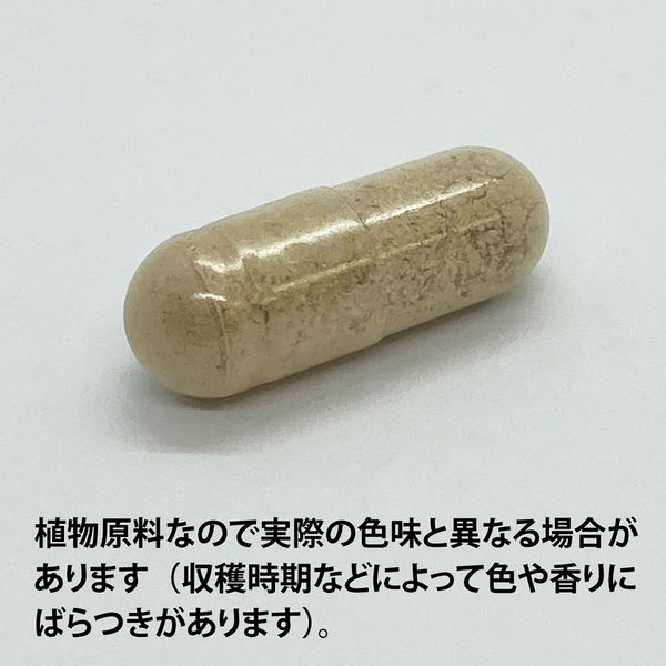 ECLECTIC（エクレクティック） オーガニックハーブサプリメント