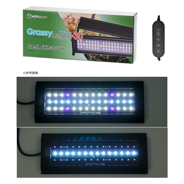 ボルクスジャパン Grassy Legna Marine 60