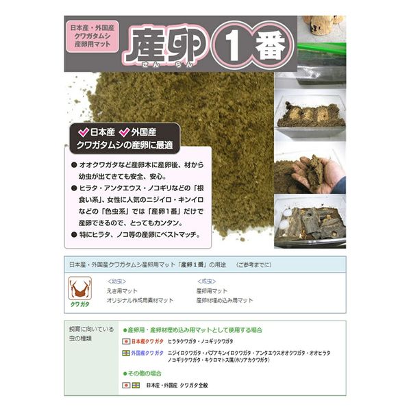 フォーテック 産卵一番 5リットル 昆虫マット 336327 1袋（直送