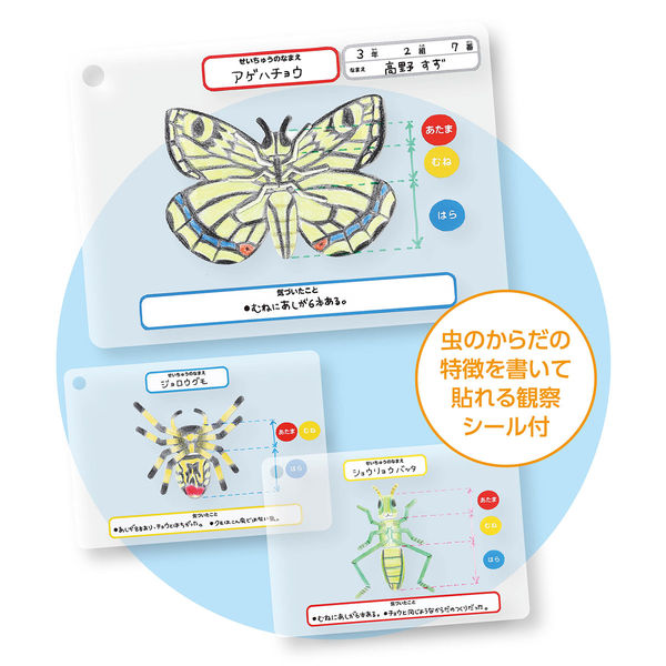 昆虫図鑑、ドリル9冊セット【17000円相当】●発送8月6日まで。次は18日 はじめてひとりで読む本はコレ！】3～6歳向けの幼児図鑑