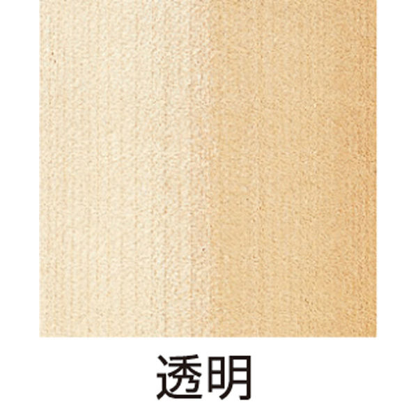 アーテック 水性カラーニス(透明)1L 32020 1本(直送品) - アスクル アーテック 水性カラーニス(透明)1L 32020 1本(直送品) - アスクル