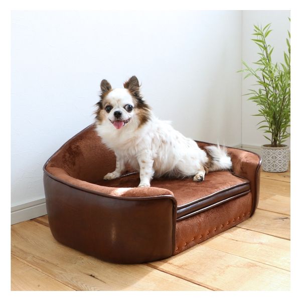 関家具 ペット用ソファ PEPE ( ペペ ) BR 326843 1個（直送品） - アスクル