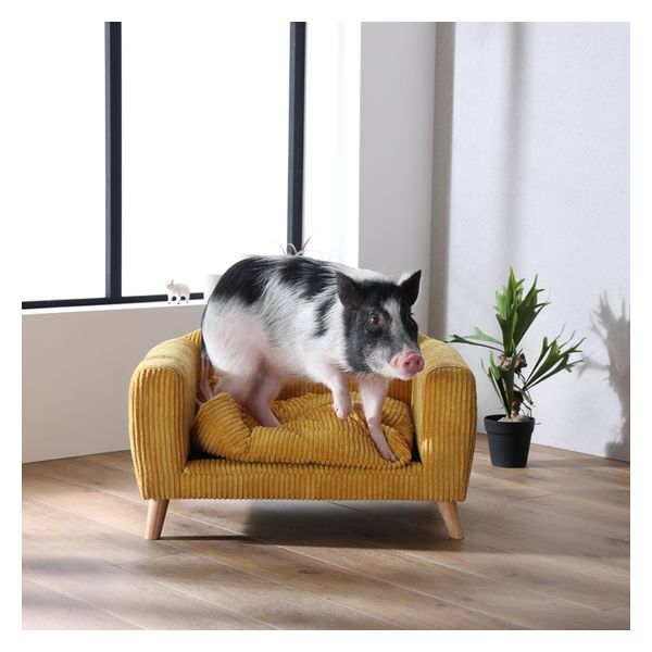 kiki様確認用 関家具 HARDEN(ハーデン)YE ペットソファ 382215 1個（直送品