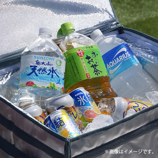 USER ユーザー ソフトクーラーボックス 面ファスナー 35L ICE BOX U-Q435 1個 - アスクル