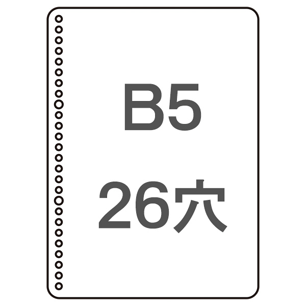 コクヨ　三色刷ルーズリーフ　B5　銀行勘定帳　リ-108　1セット（300枚：100枚入×3冊）