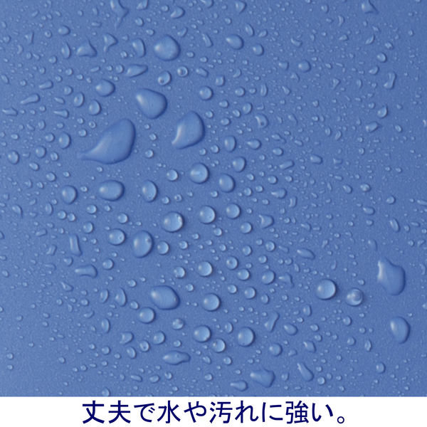 ボックスファイル組み立て式 A4タテ 10冊 PP製 ブルー セリオ ボックスファイル組み立て式 A4タテ 10冊 PP製 ブルー セリオ