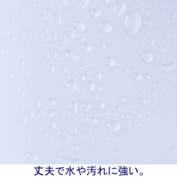 ボックスファイル組み立て式 A4タテ 10冊 PP製 クリア セリオ ボックスファイル組み立て式 A4タテ 10冊 PP製 クリア セリオ